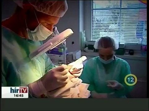 Hajhullás - Kopaszodás - Hajbeültetés