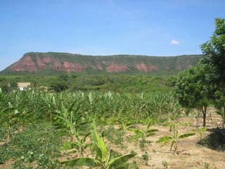 Vicente Gomes - Velhos tempos em Ipubi