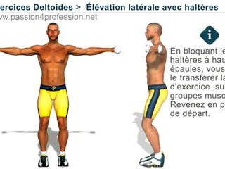 Exercices musculation pour Deltoïde: Élévation latérale