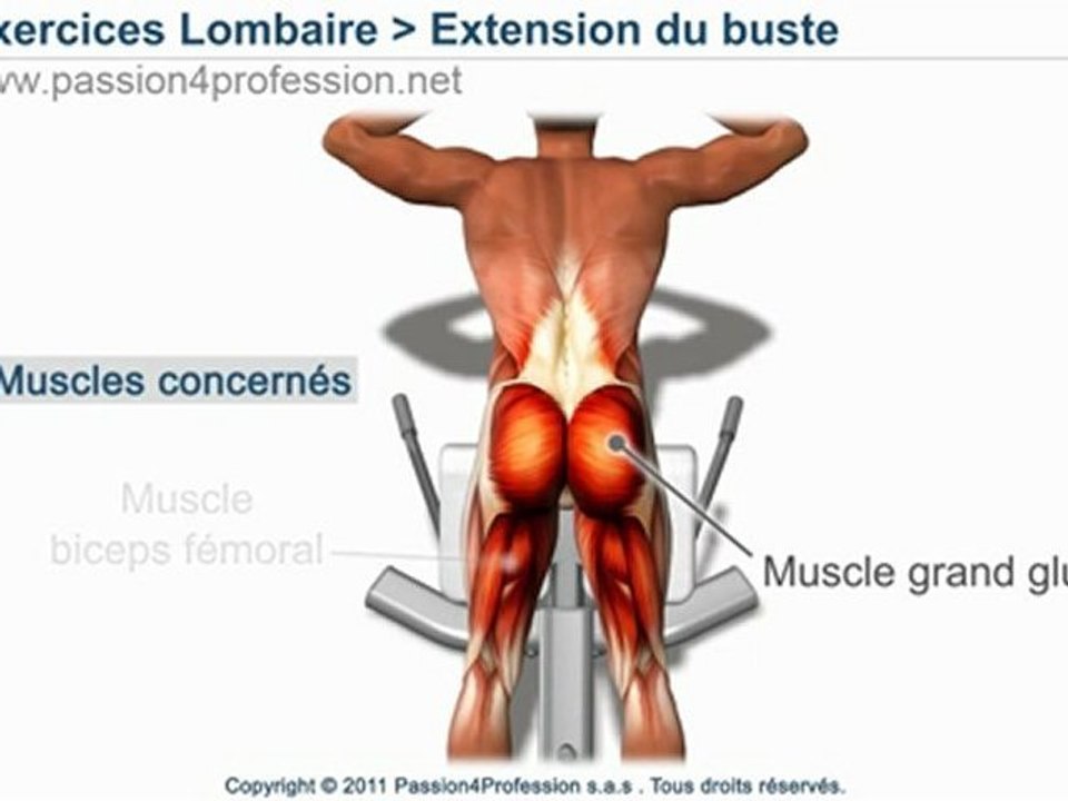Extension du buste (hyperextension)