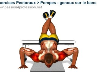 Pompes - genoux sur le banc