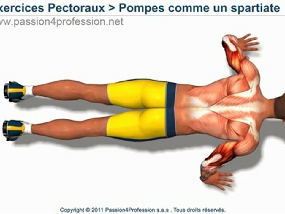 Pompes comme un spartiate
