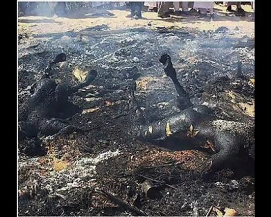 تضليل صفحة جورنالجي الثورة