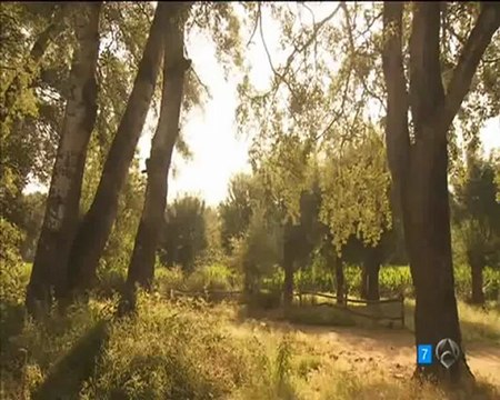 TRISTAN SOY SU HIJO PERO NO HARA NADA POR MÍ ESDPV 14-08-2012