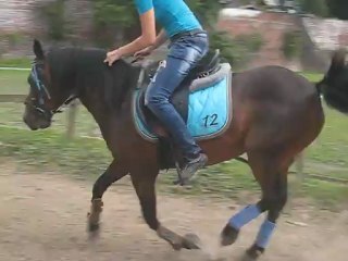 Parcours Aurore² & Tj