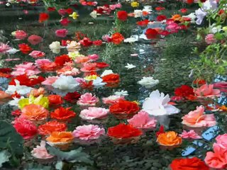 Kalo Poudel -by 2012-Pyaar to hamesha rahega