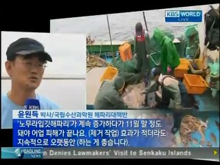 KBS News 9, August 14, 2012