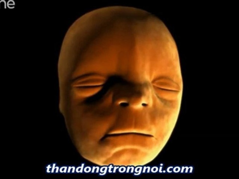 [HD] Thần đồng trong nôi