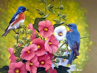 DELİ GÖNÜL - Mustafa Özarslan -