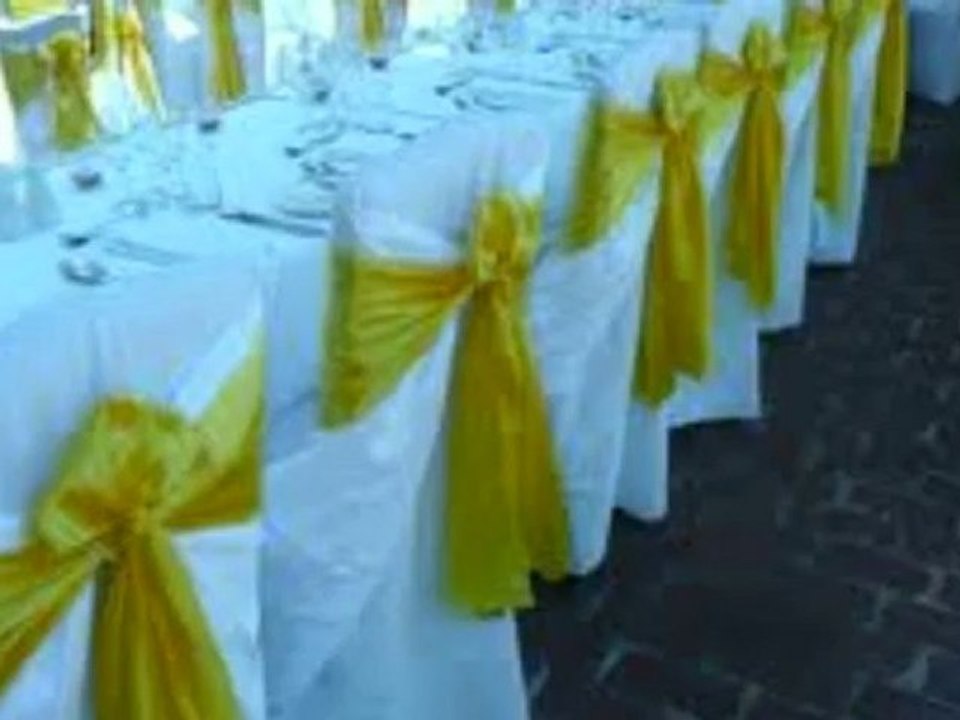 Party Rental Miami - Cover and Saches