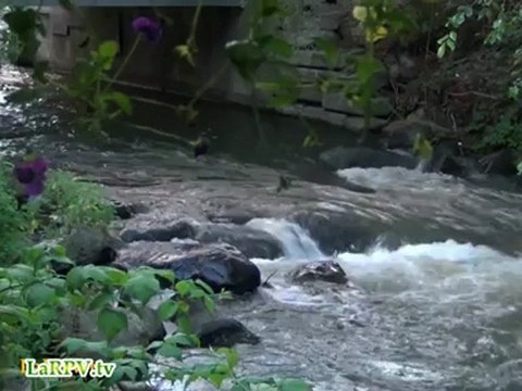 Relaxation - ZEN 10 - eau qui coule - hypnosis water - LaRPV