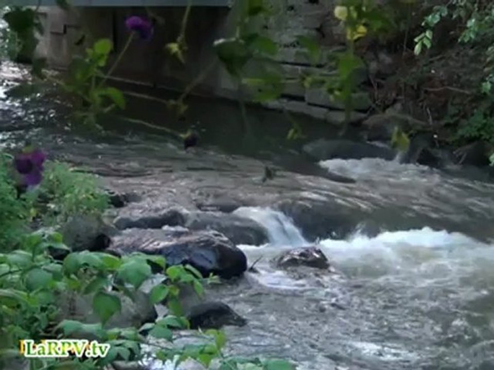 Relaxation - ZEN 10 - eau qui coule - hypnosis water - LaRPV