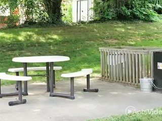 Cedar Point Apartments in Roanoke, VA - ForRent.com