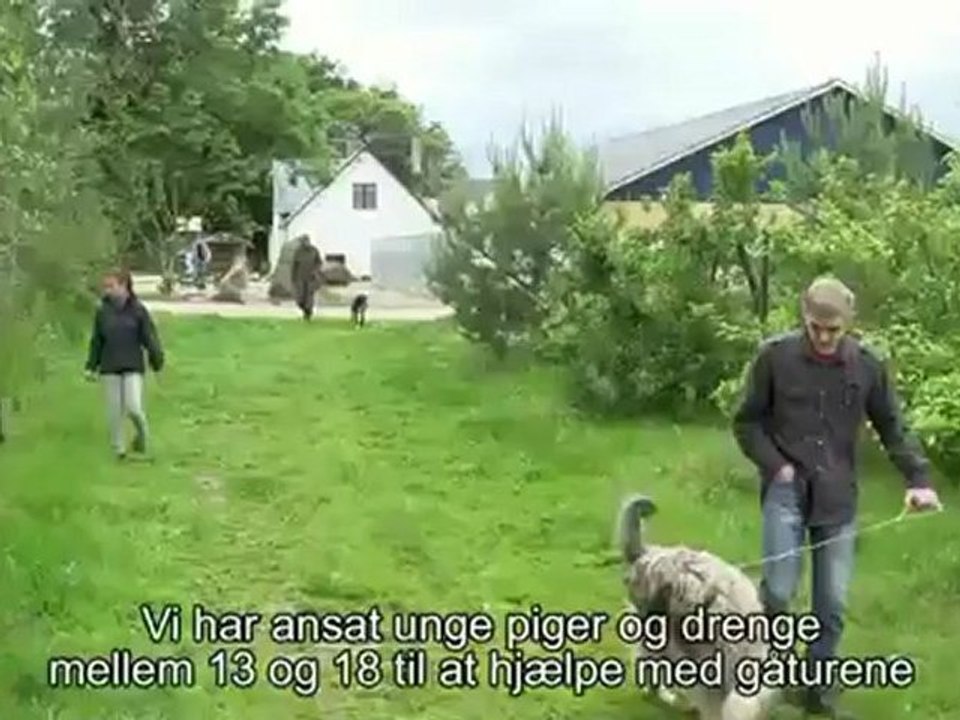 Hundepension Odense - Tlf.: 65955043 v/ Bladstrup Hundepension