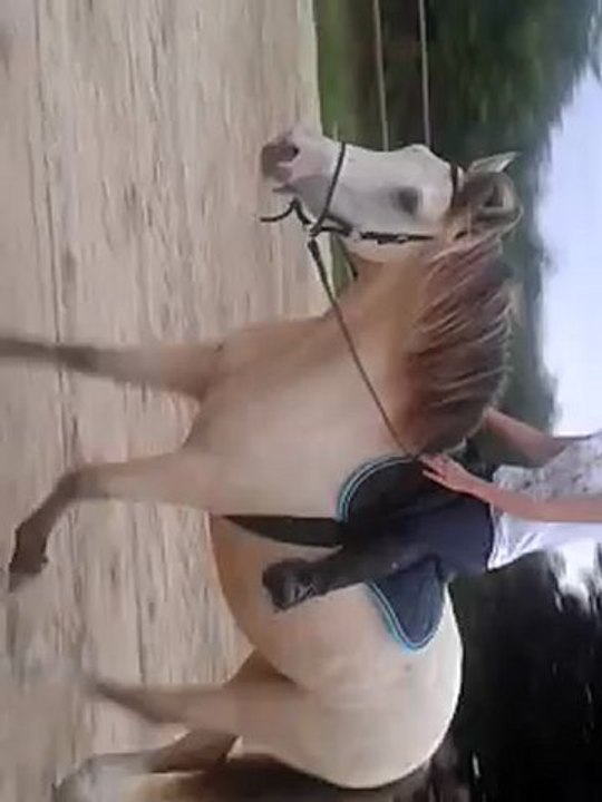 video-2012-08-14-19-51-54