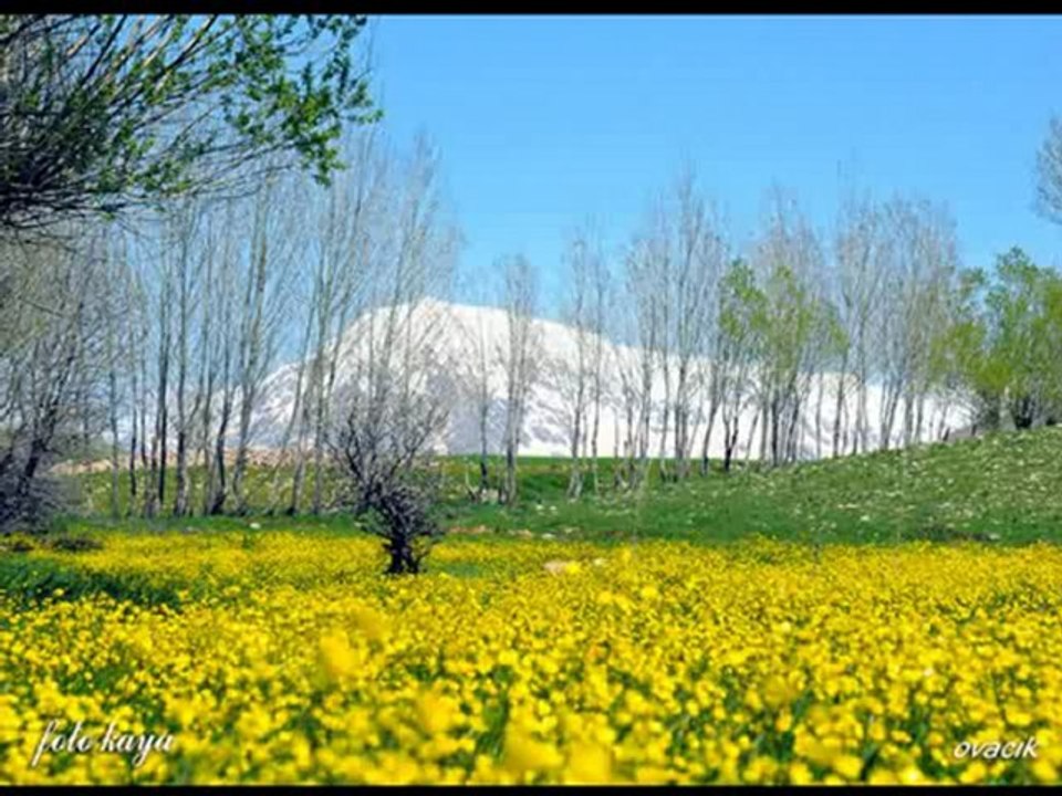 Mikail  Aslan & Aynur Dogan       "Canim  Efendim "