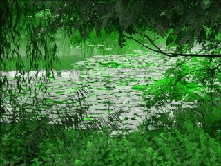 L'Immortalité II - Heidegger et la mort