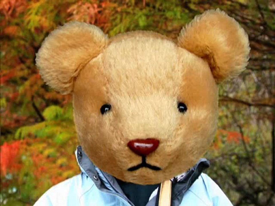A Bear for a day, quick math example
