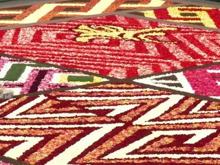 La Place de Bruxelles décorée d'un tapis de 600.000 bégonias