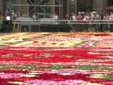 Brussels transformed by flower carpet