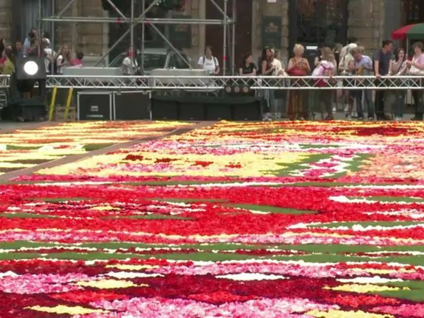 ⁣Brussels transformed by flower carpet