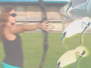 Lunettes de protection Bollé Safety VIPER sport de tir jardinage