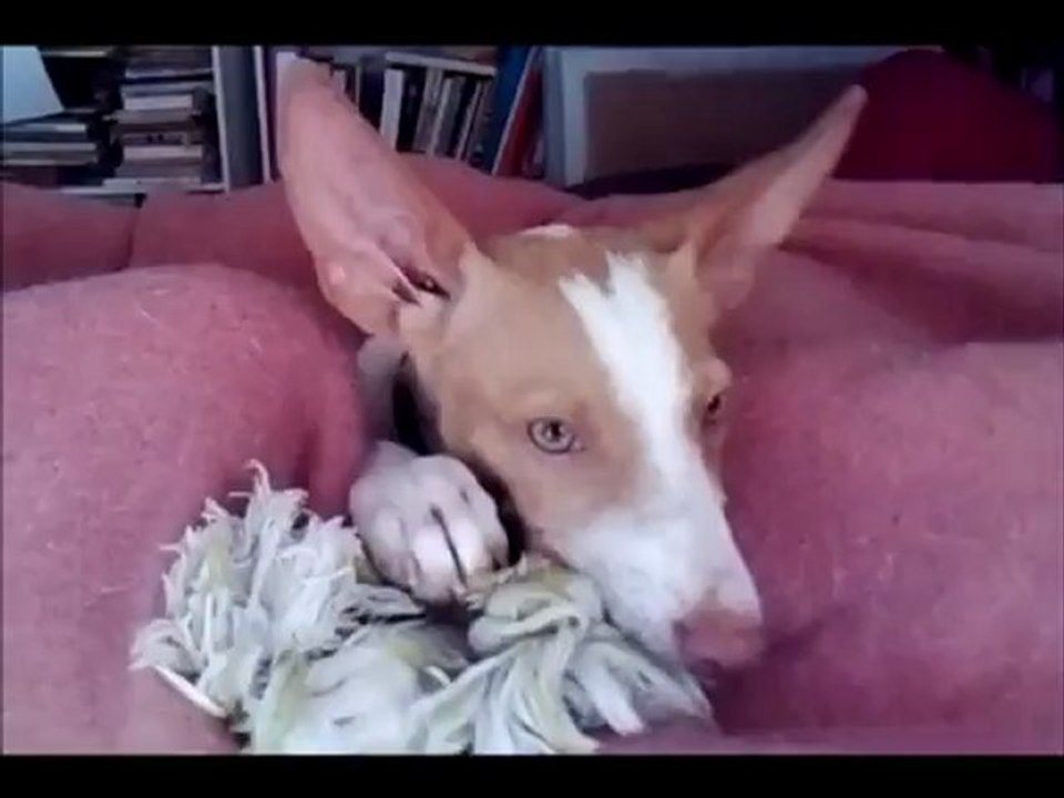 PODENCA NINI ET SA CORDE
