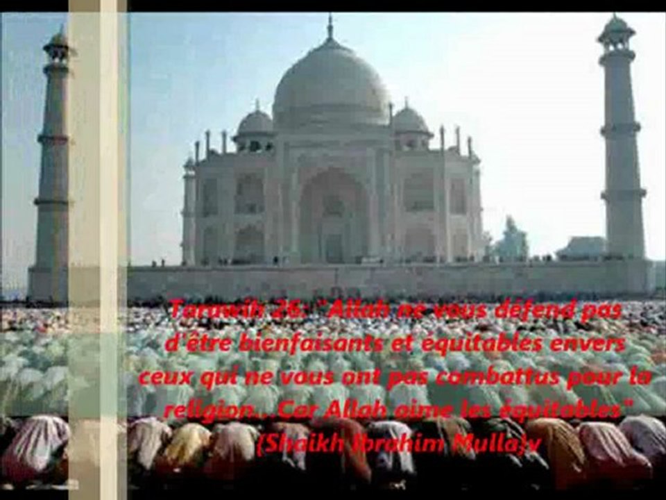 Tarawih 26 : "Allah ne vous défend pas d’être bienfaisants et équitables envers ceux qui ne vous ont pas combattus pour la religion…Car Allah aime les équitables" {Shaikh Ibrahim Mulla}