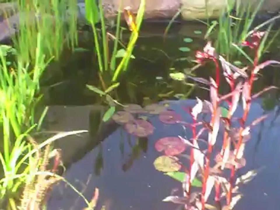 MOV_0281