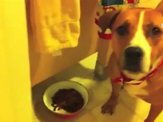 Маленький воришка