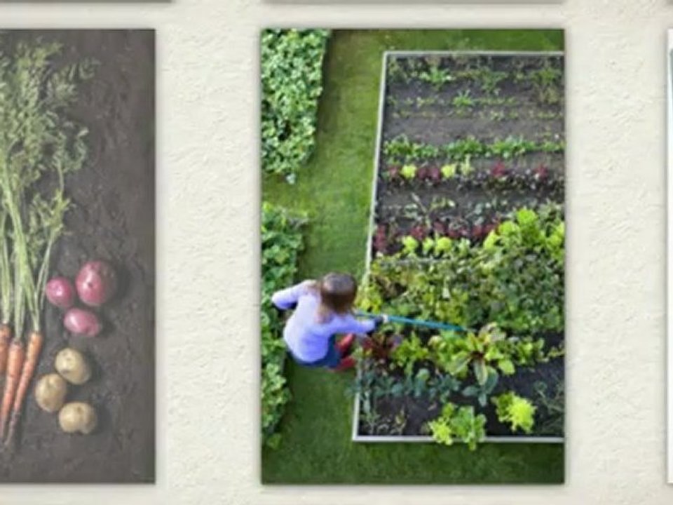 Grow Vegetables and Fruit ORGANICALLY