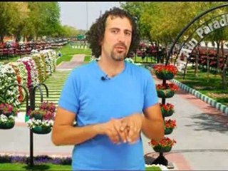 اسا وهلا ح الحب