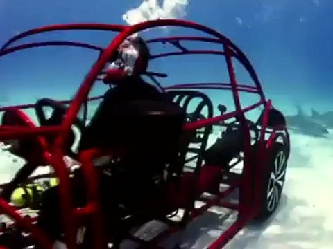 Cage à requin Volkswagen - New Beetle 2012