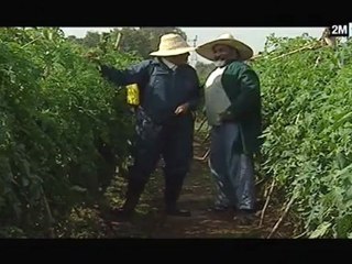 دموع الرجال : الحلقة 26