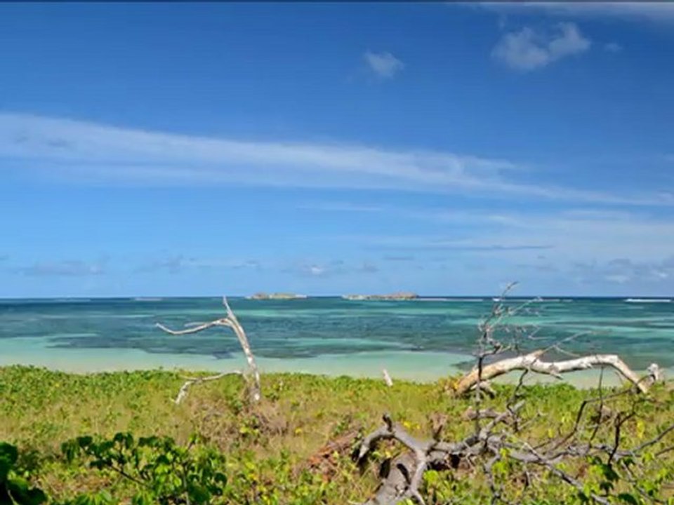 Maison Sainte-Anne Martinique Crève Coeur Fonfd Repos