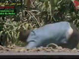 مسلسل الهروب الحلقة 27
