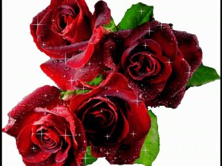 Dj efe ( naşide göktürk sakın ha )