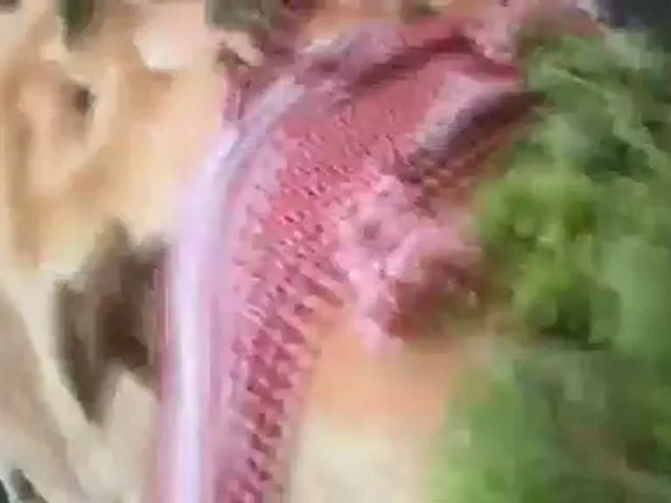 فري برس   حمص مؤثرجدا الشهيد الطفل براء صويص حمص الغنطو 13-8-2012