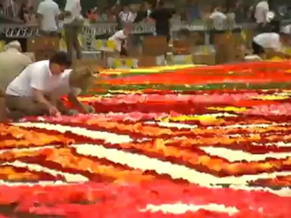 Der Blumenteppich am Grande Place in Brüssel - Euromaxx | Euromaxx