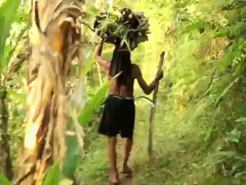 TDM-53 balade dans les rizières d'Ubud