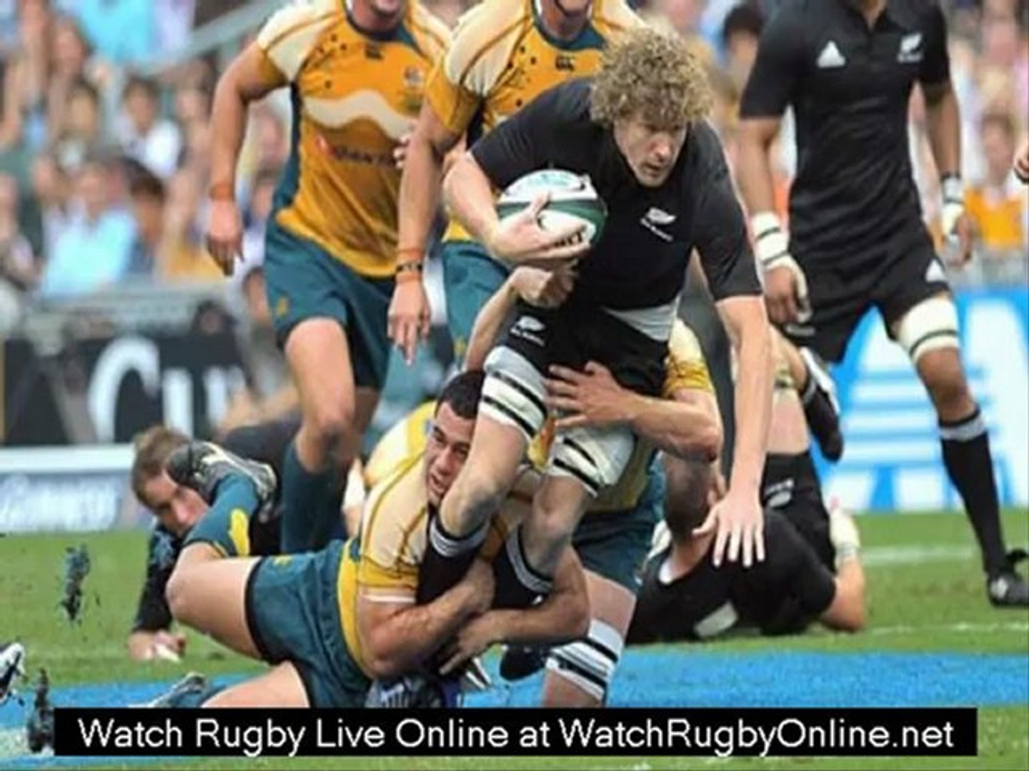 rugby union online