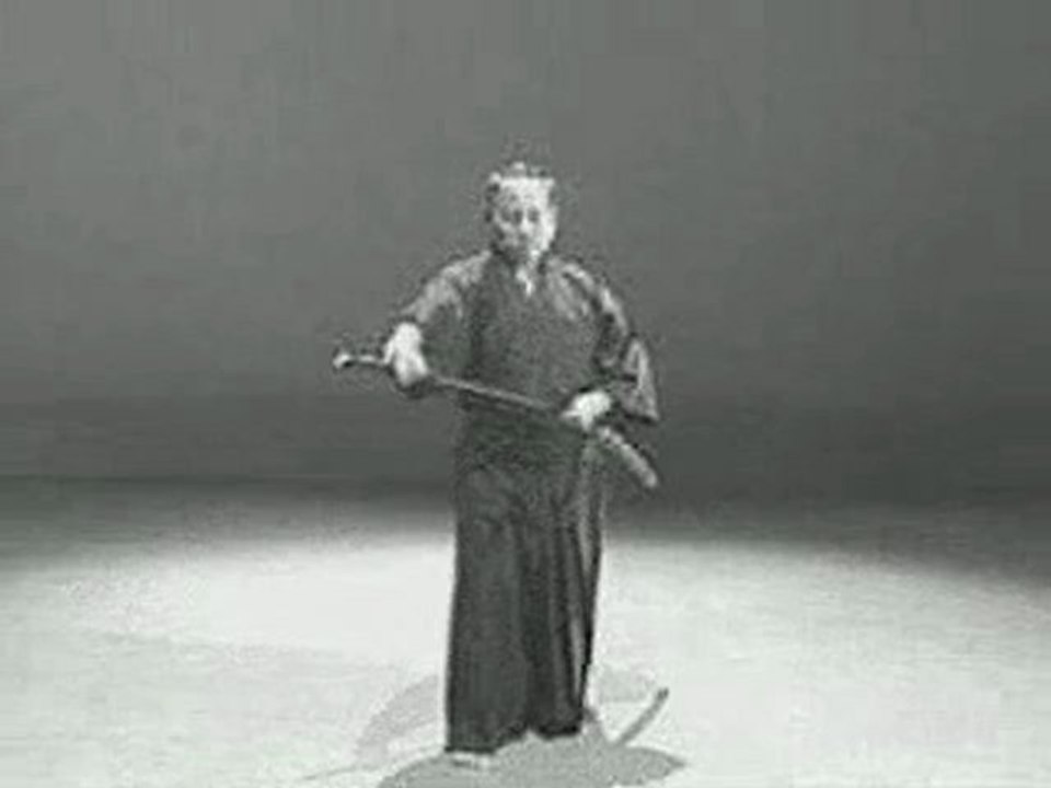 Iaido - Kata 11_