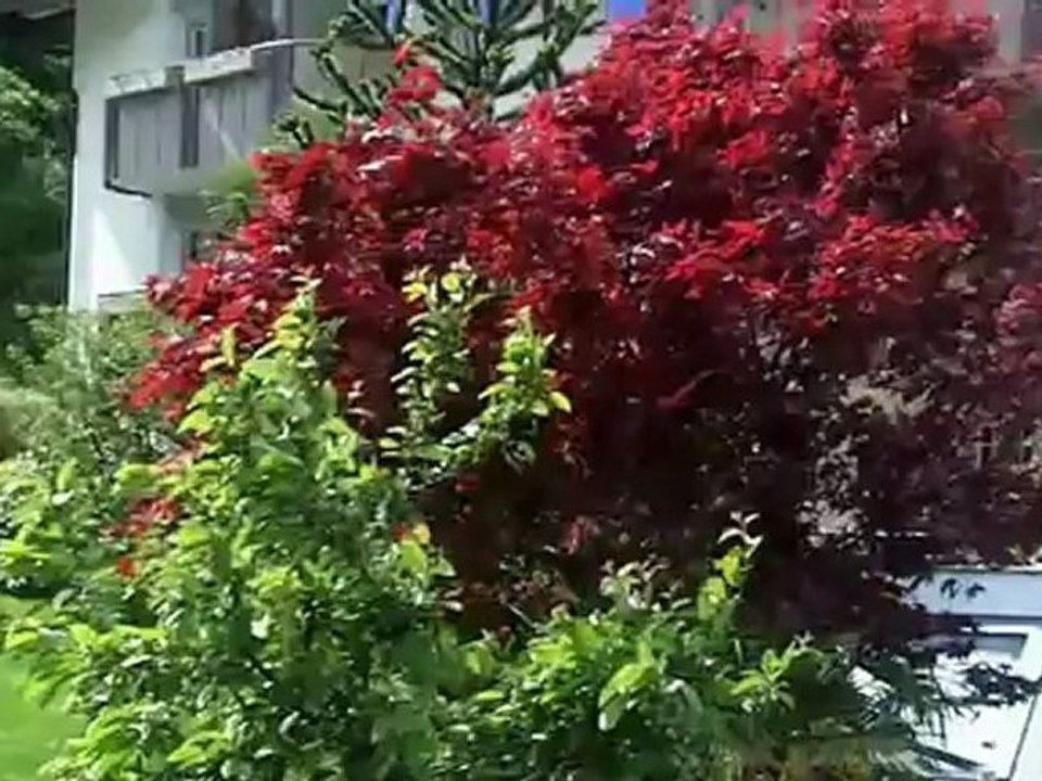 Hotel Sonnenalm mit Helga Fink Passeiertal Meran