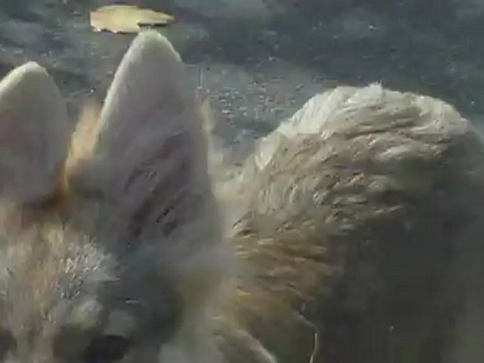 Ta grande sportive^^ n°2