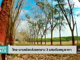 ไทย อินโดนีเซีย มาเลเซีย ลดส่งออกยาง