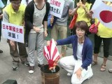 Des militants chinois arrêtés sur une île disputée avec le Japon