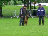 STEPHANE ET ETAN DU DOMAINE DE LA CHASSE AUX LOUPS