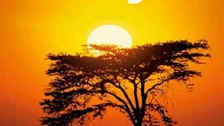 Travel Book Review: Kenya Travel Guide (Country Guide) by Lonely Planet