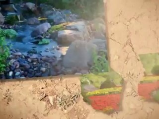 Tee Up Lawn Care %28972%29 712-8825