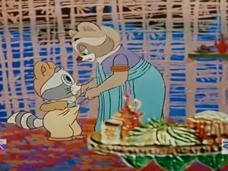 Baby Raccoon / Крошка Енот